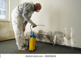 Professional Mold Removal in Middletown, PA